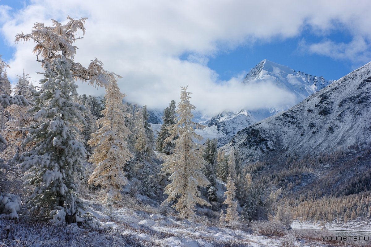Северный Кавказ горы зима