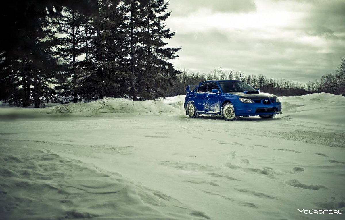 Subaru Impreza WRX STI зима