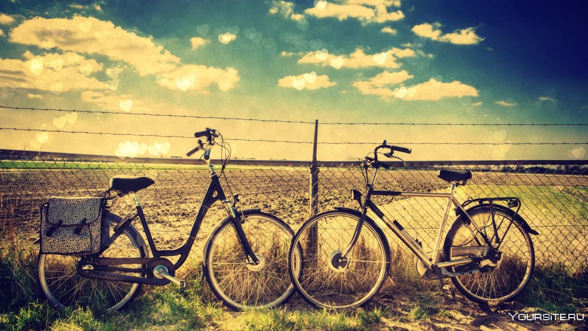 Два велосипеда на природе