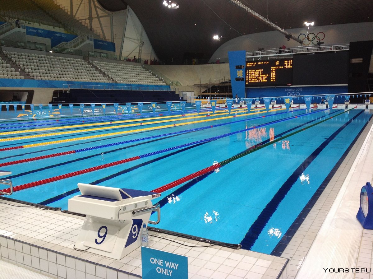 Олимпийский бассейн для плавания