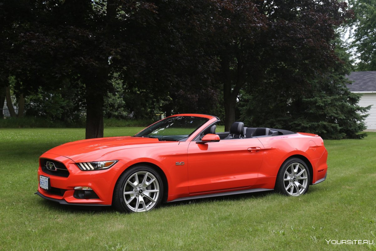 Ford Mustang Cabriolet 2004