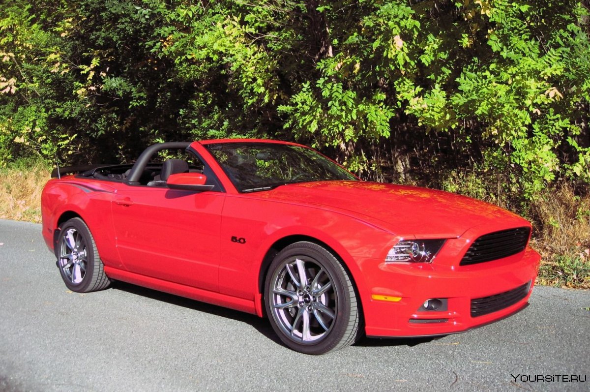 Форд Мустанг Шелби gt 500