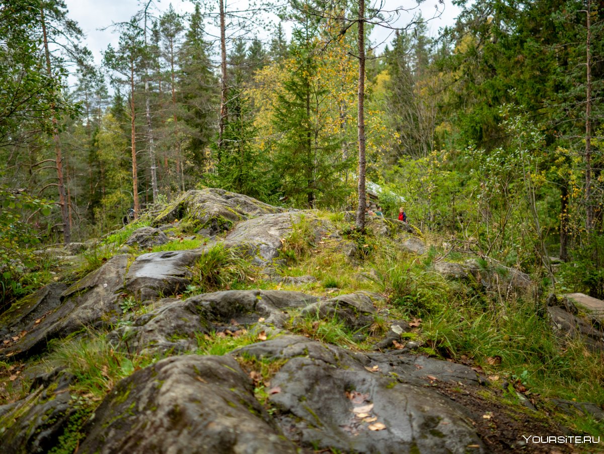 Карелия парк Леший