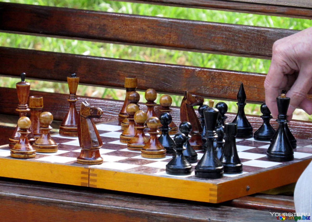 Эшер шахматы