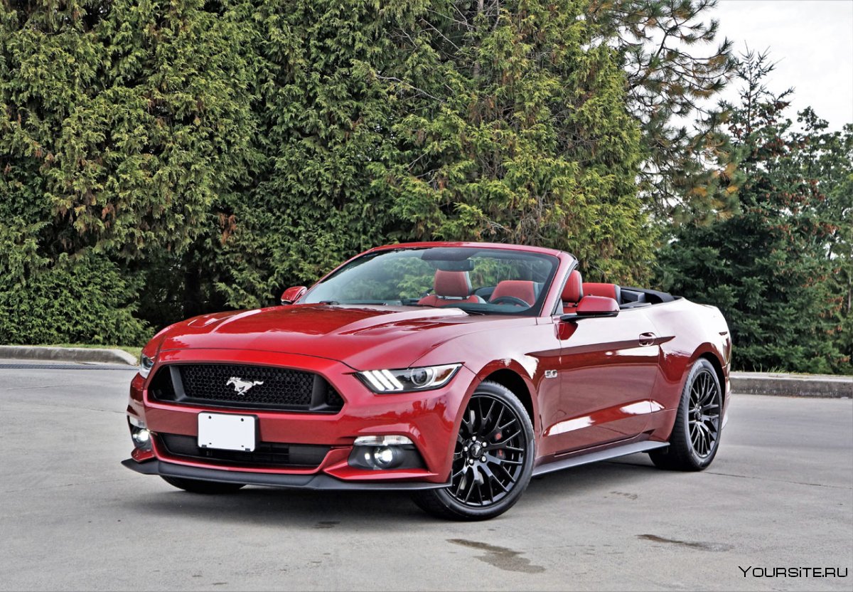 2017 Ford Mustang gt Convertible