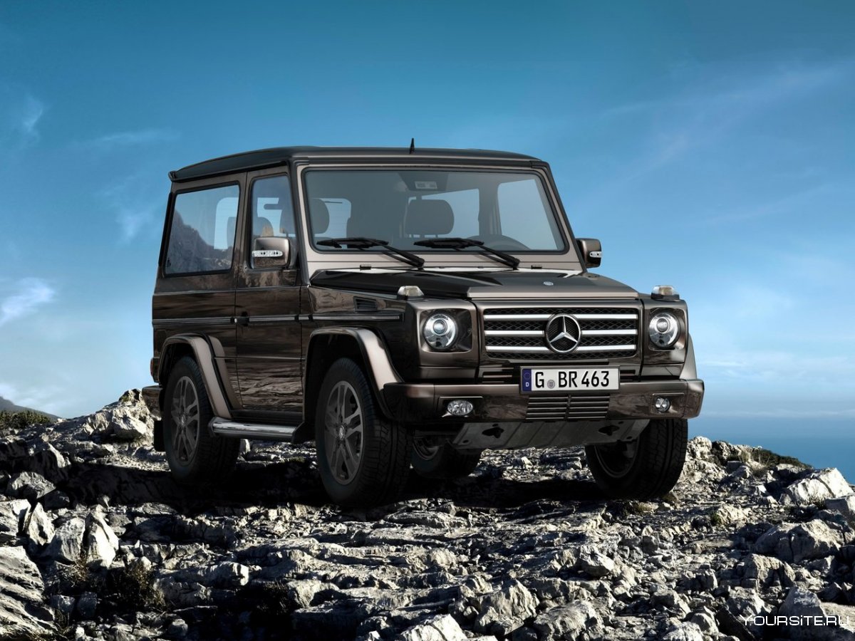 Mercedes-Benz g-klasse (w463)
