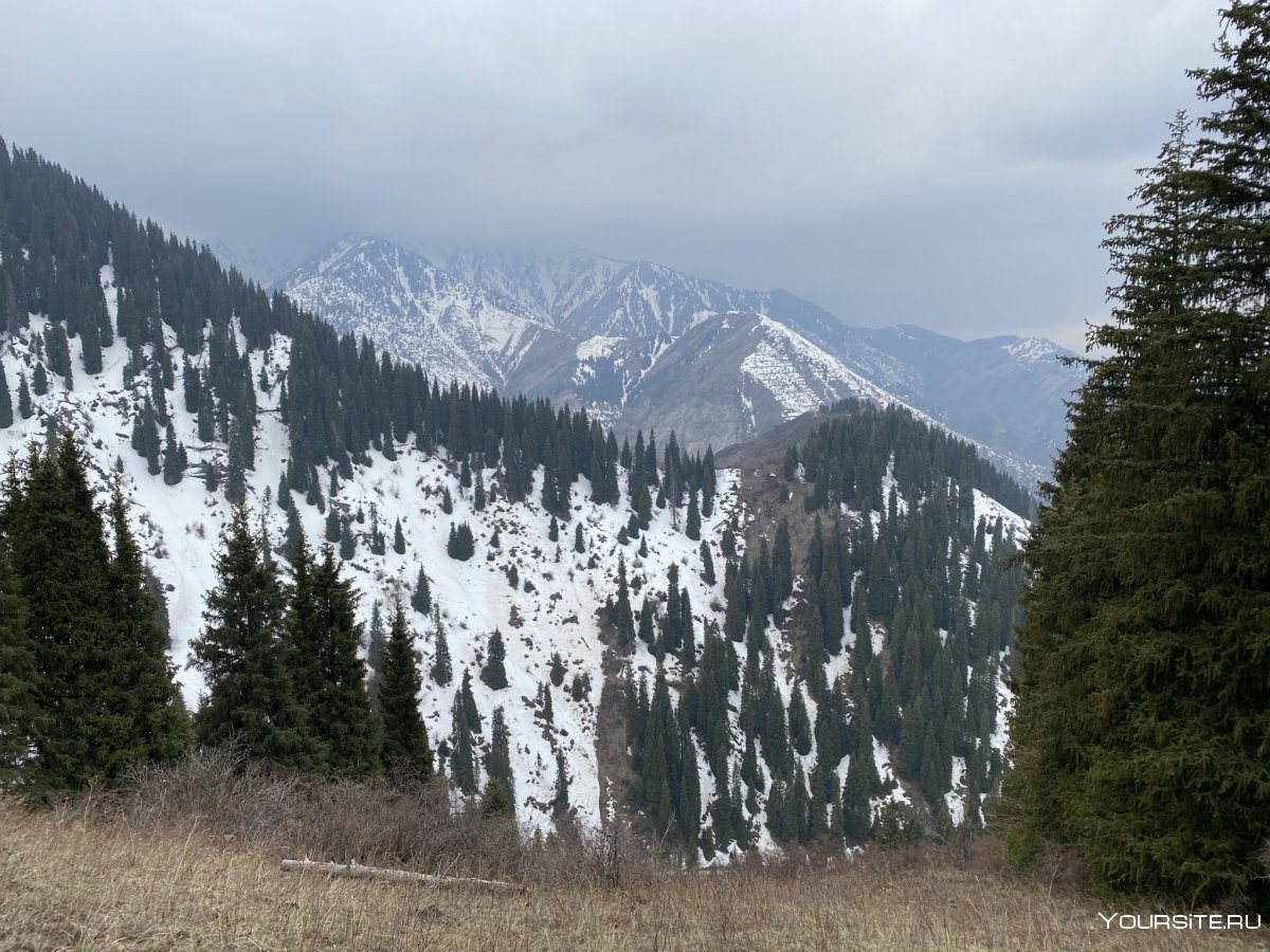Волчья гора Алматы