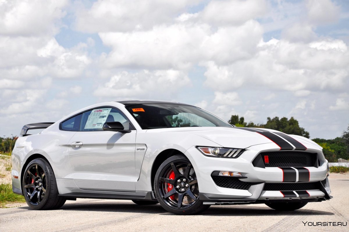 Ford Shelby gt350r