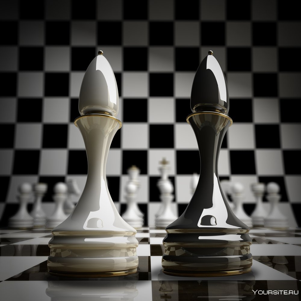 Слон в шахматах