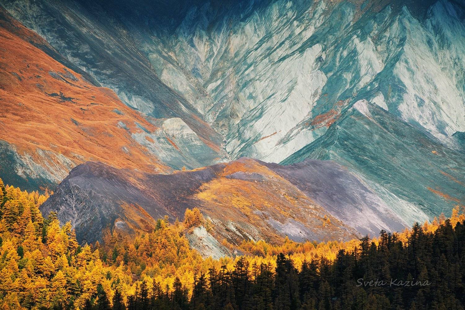 Алтай природное наследие. Долина Ярлу горный Алтай. Гора Белуха Долина Ярлу. Долина эдельвейсов горный Алтай. Горный Алтай золотые горы Алтая.