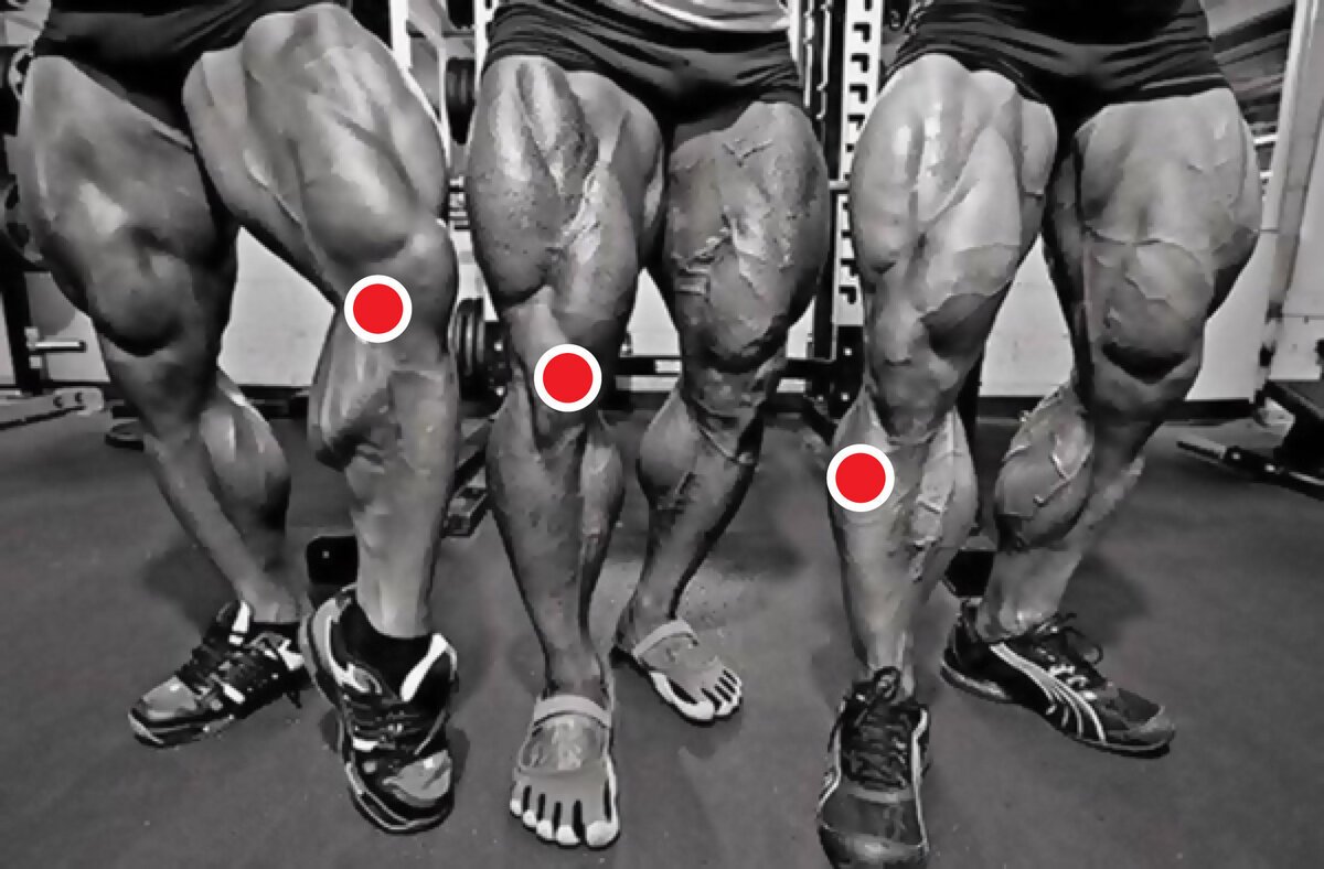 Прокачанные ноги мышцы сзади