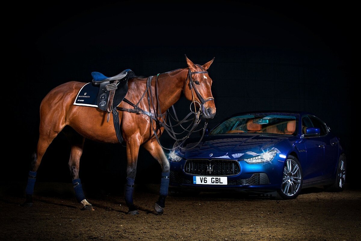 Конь и автомобиль