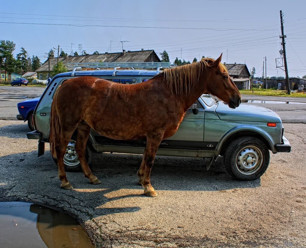 Фотосессия с машиной и лошадью