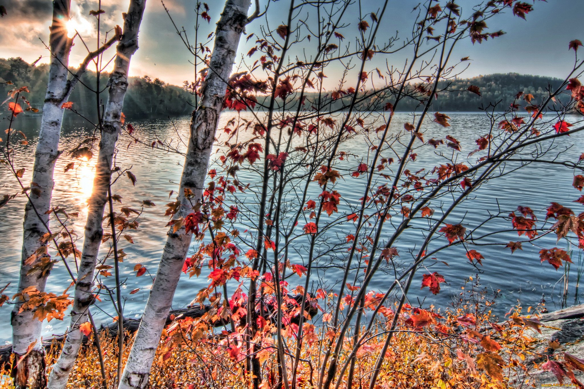 Ноябрьские картинки. Поздняя осень. Природа поздняя осень. Фото поздней осени красивые. Поздняя осень, предзимье.