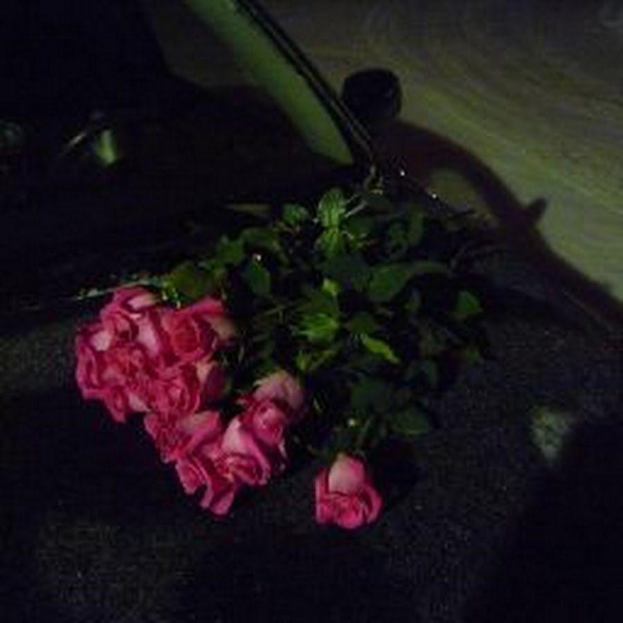 Цветы в машине фото реальные в темноте