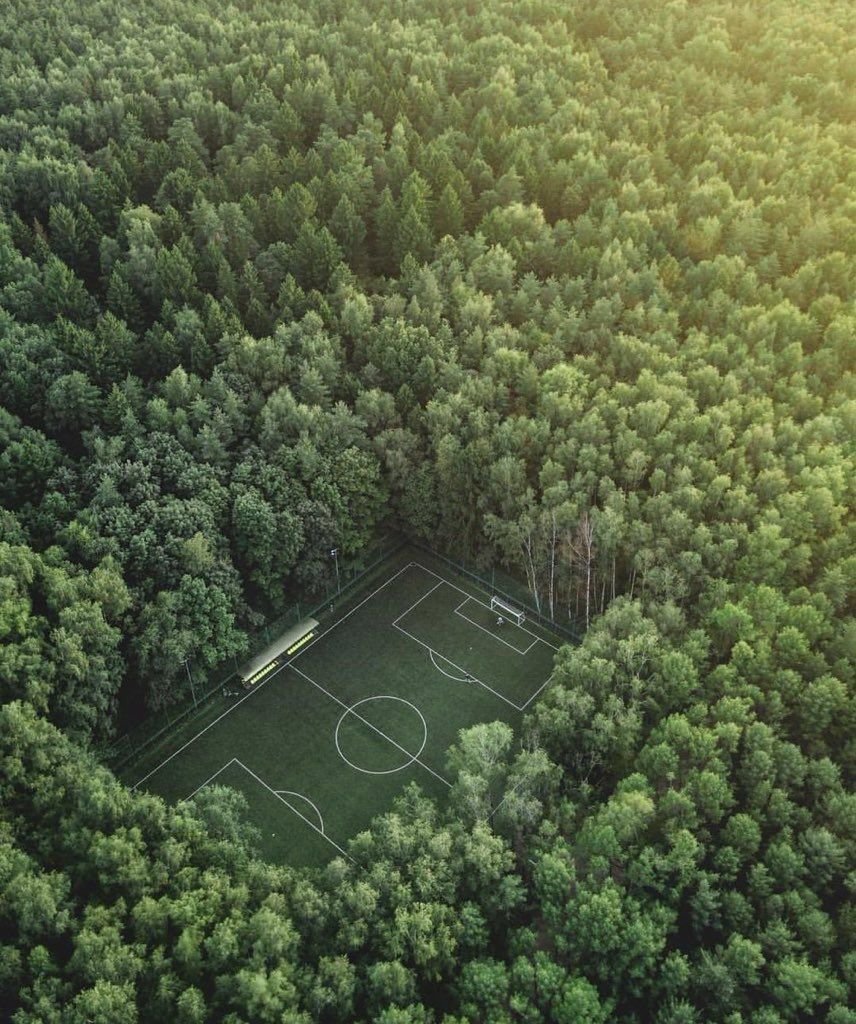 Футбольное поле в лесу Мещерский парк