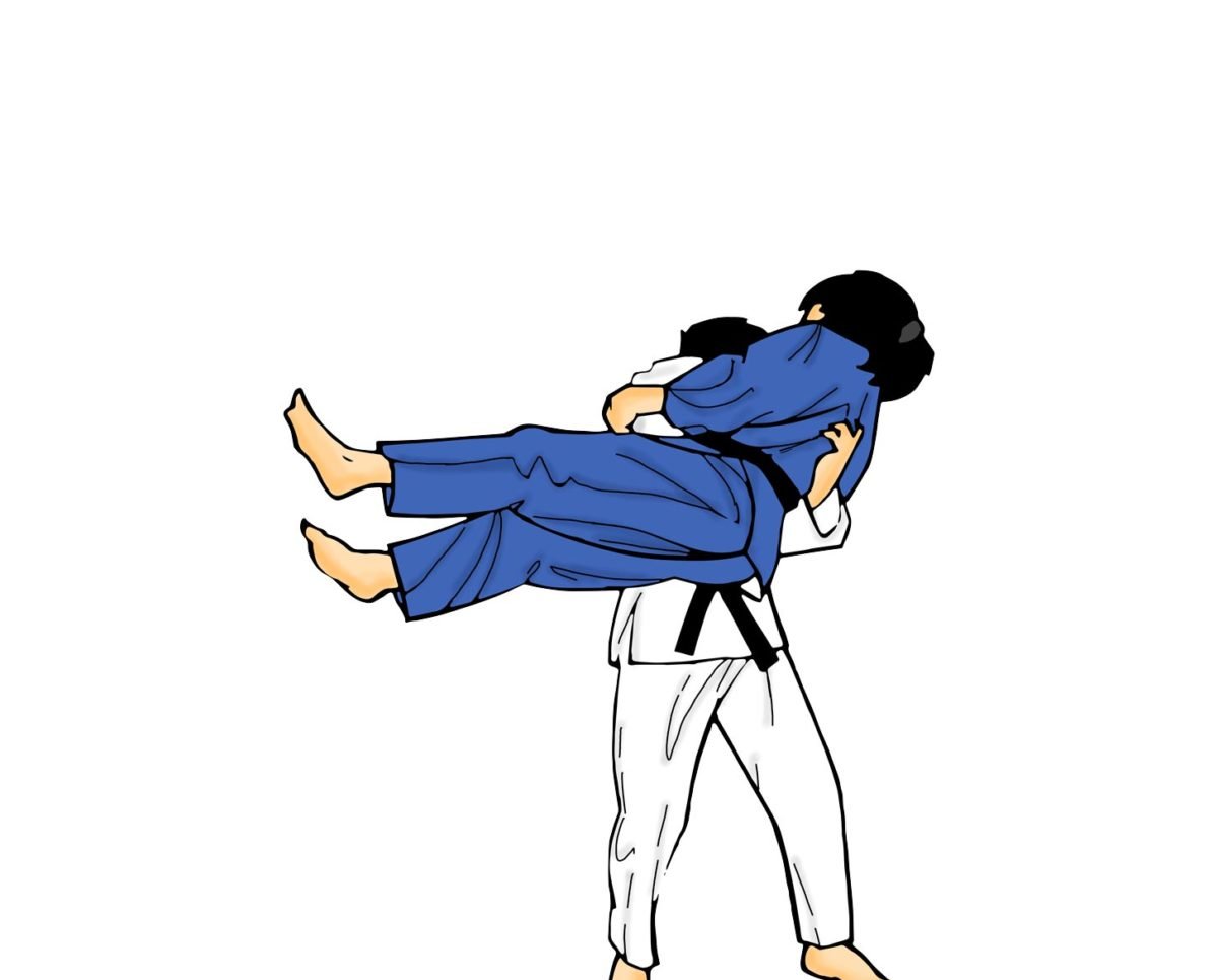 Mixed Judo