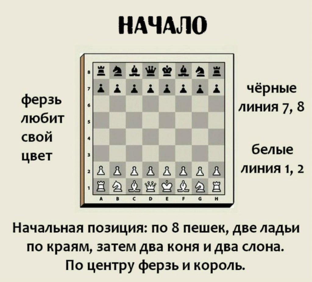 Правила игры в шахматы для детей в картинках