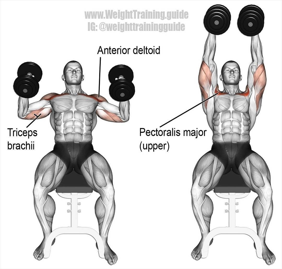 Weight Training Guide