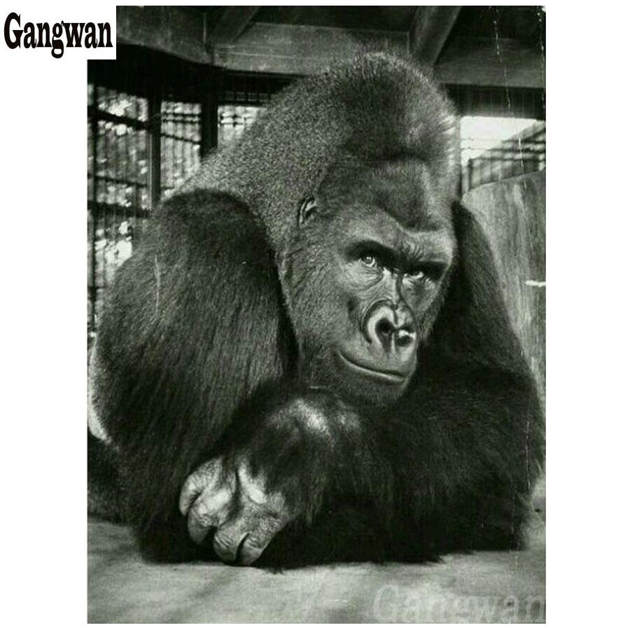 Страшная горилла