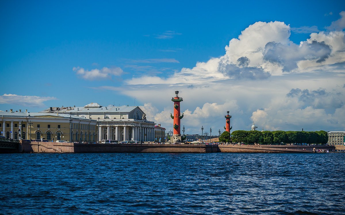 Лето 1704 года в Санкт-Петербурге на Васильевском острове