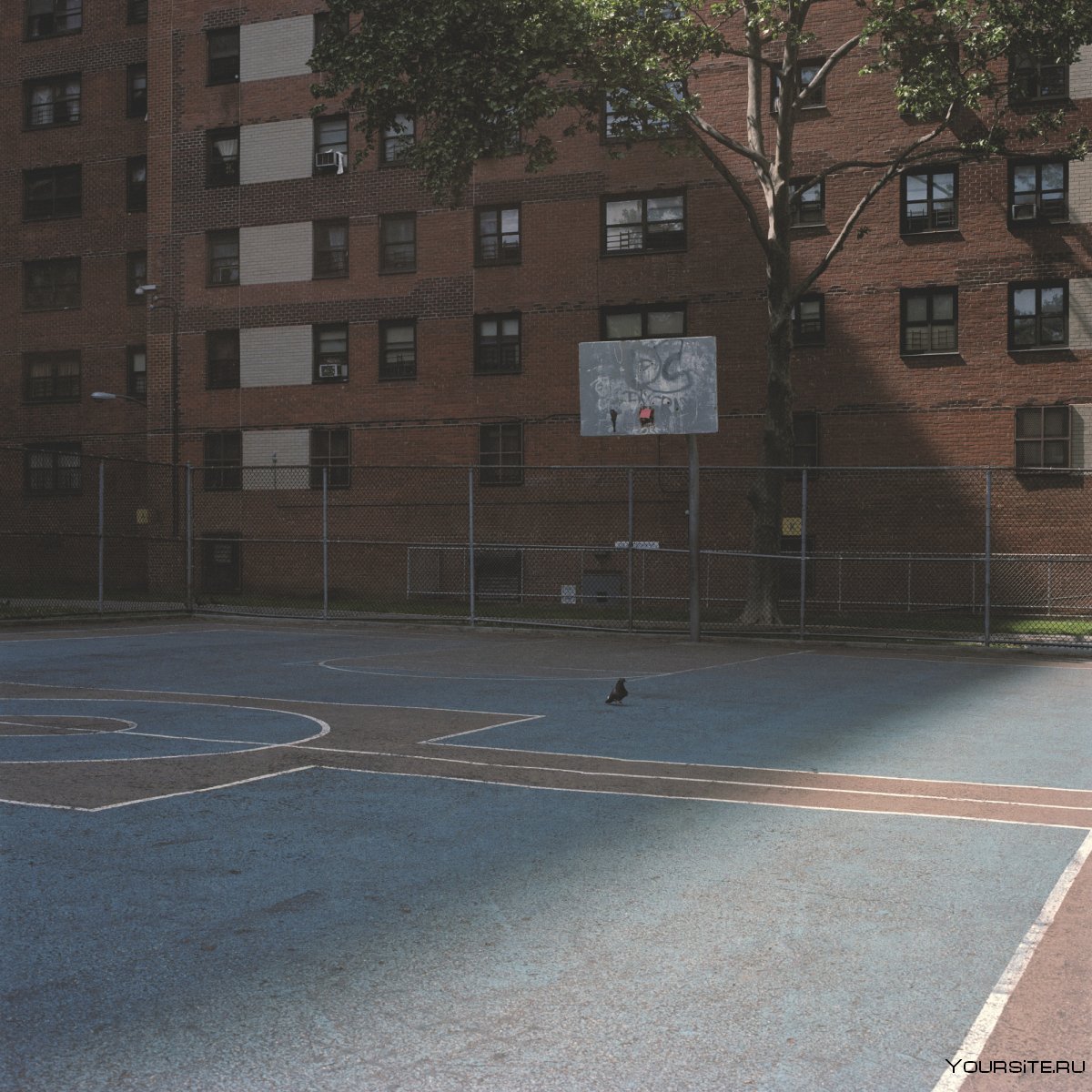Баскетбольная площадка в Нью Йорке