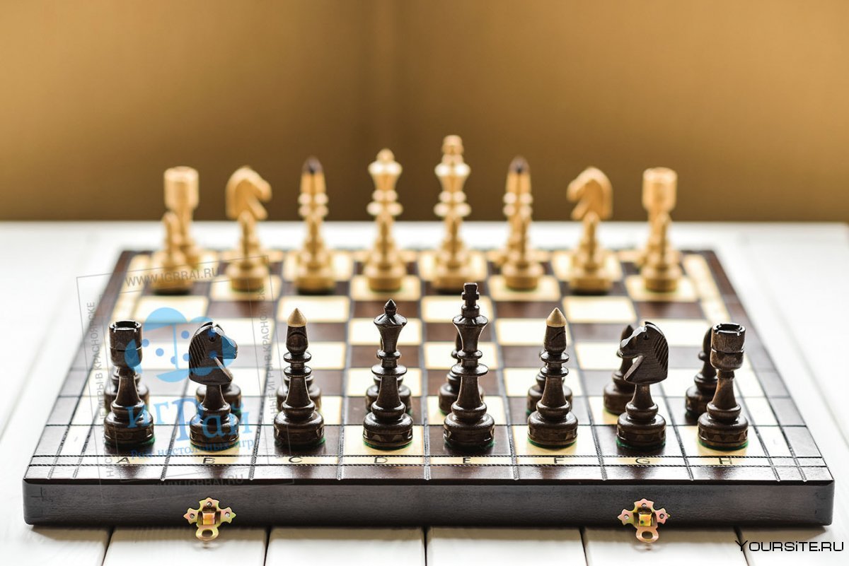 Марголин шахматы