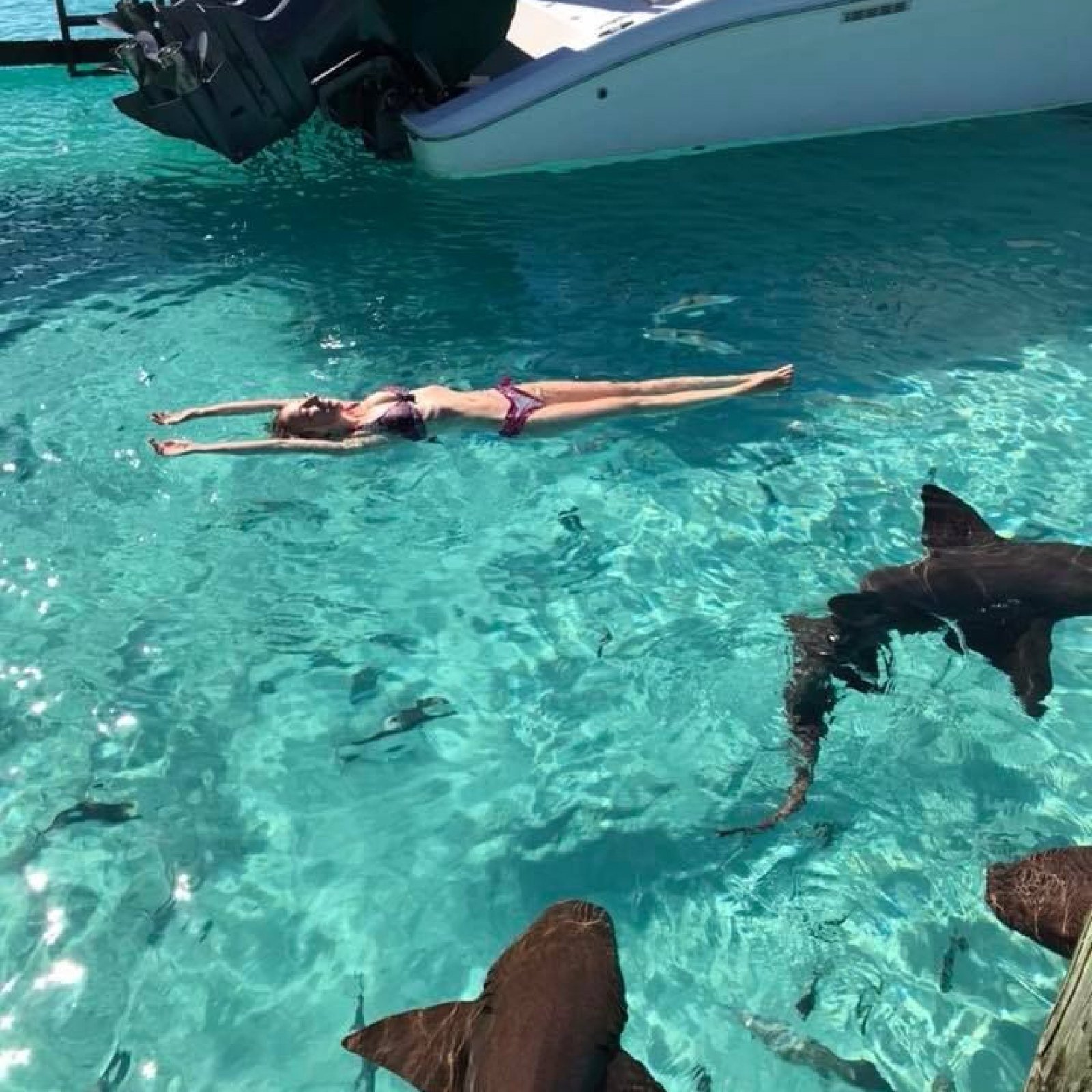 Нападение акулы на мальдивах. Акулий остров Фуджейра. Акула нянька на Мальдивах. Плавать с акулами.