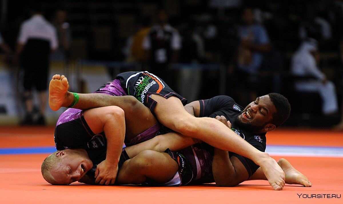 Морис Грин Алексей Олейник