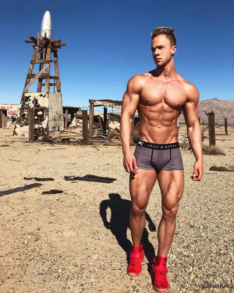 Фитнес модель Attila Toth член