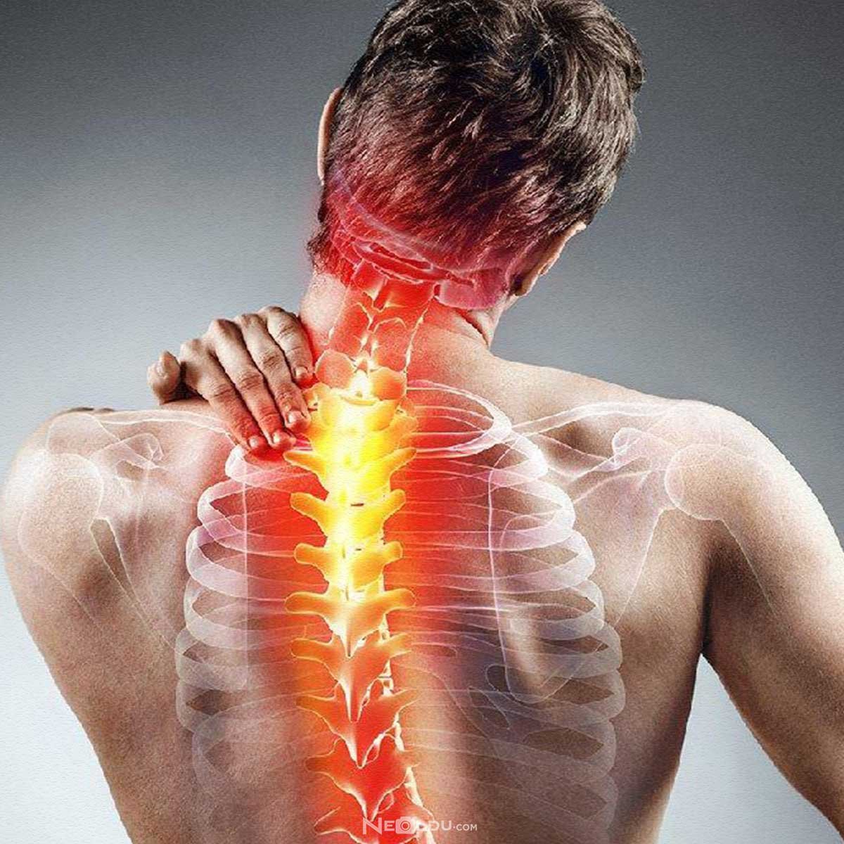 Фитбол растяжка спины