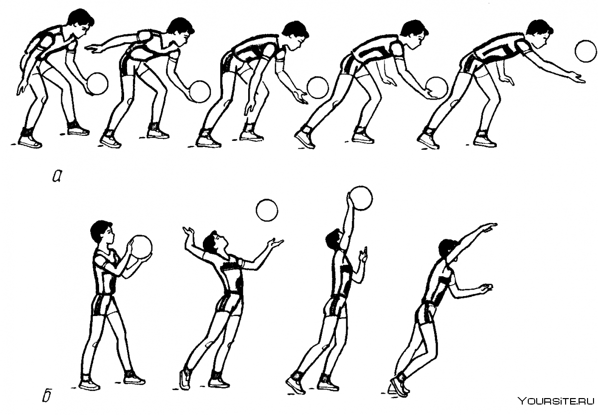 Техника верхней передачи мяча в волейболе