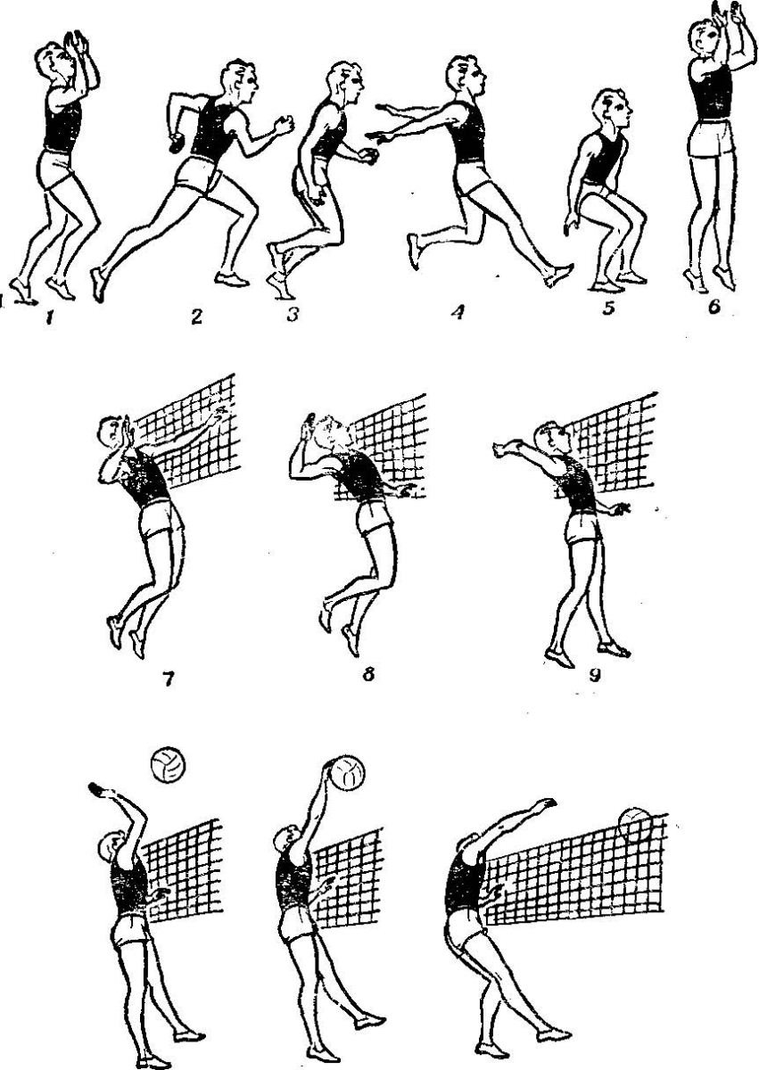 Тактика игры в волейбол схема
