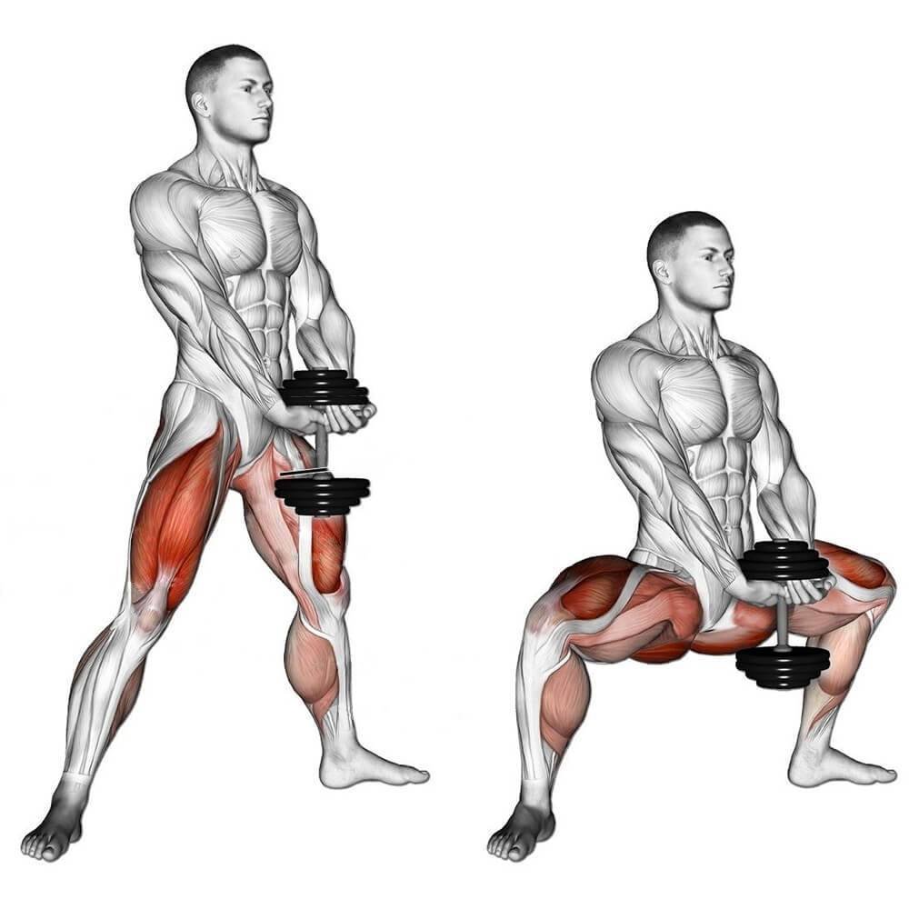 Quads мышцы