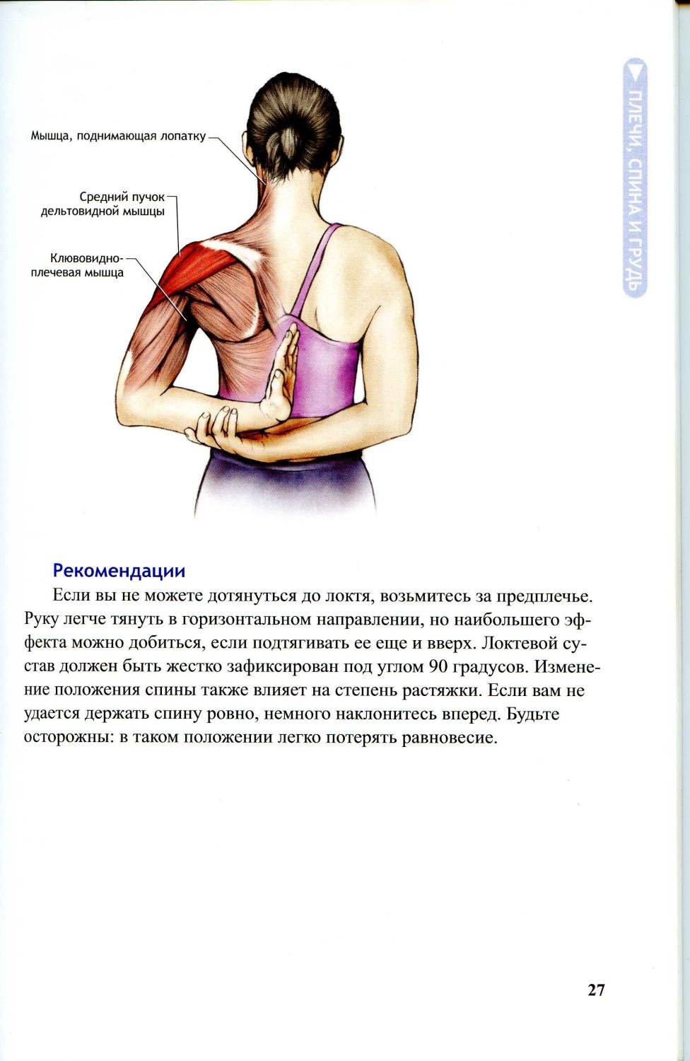 Болит мышца спины справа. Боли дельтовидной мышцы плечевого сустава. Упражнения для лопатки и плечевого. Упражнения для мышц лопаток спины. Мышца поднимающая лопатку упражнения.