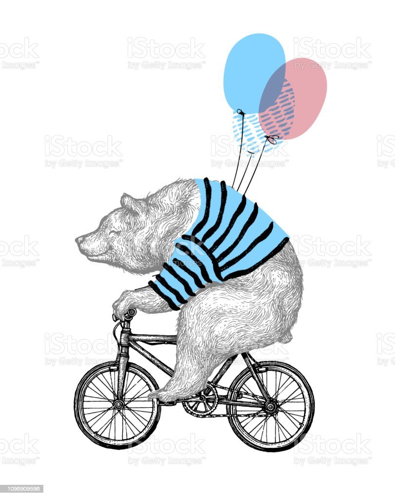 Мишка на велосипеде вектор
