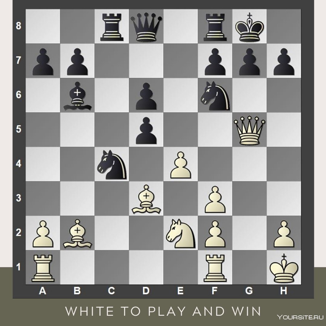 Расстановка фигур в шахматах