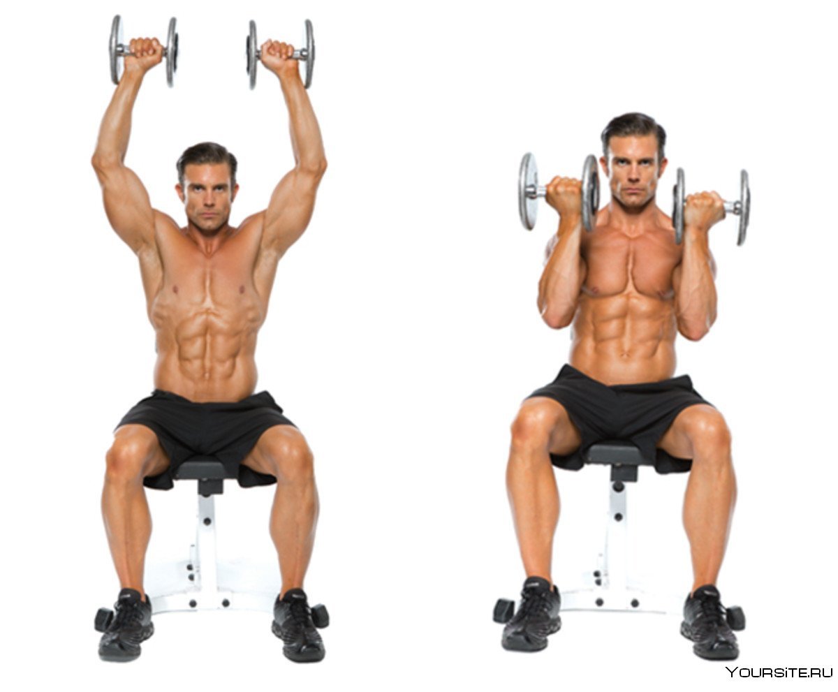 Seated Dumbbell Shoulder Press