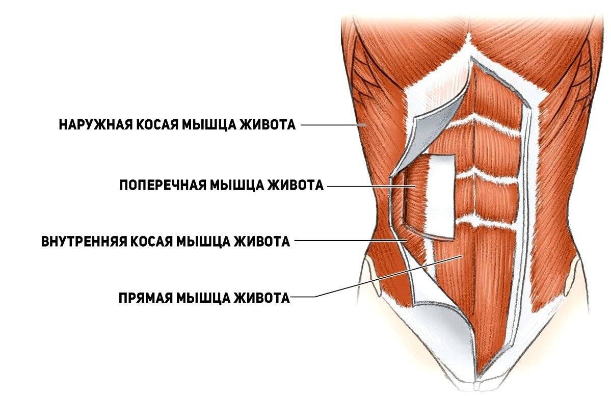 Поясничный апоневроз