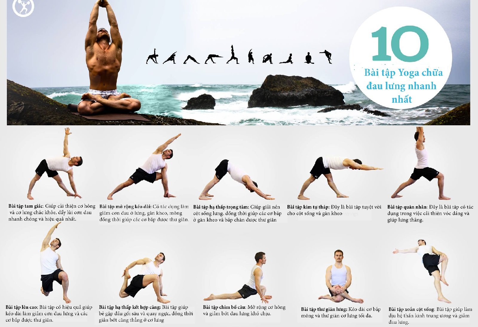 Асаны йоги с названиями. Базовые асаны йоги для начинающих. Основные асаны в йоге для начинающих. Хатха-йога комплекс асан. Хатха йога комплекс для начинающих.