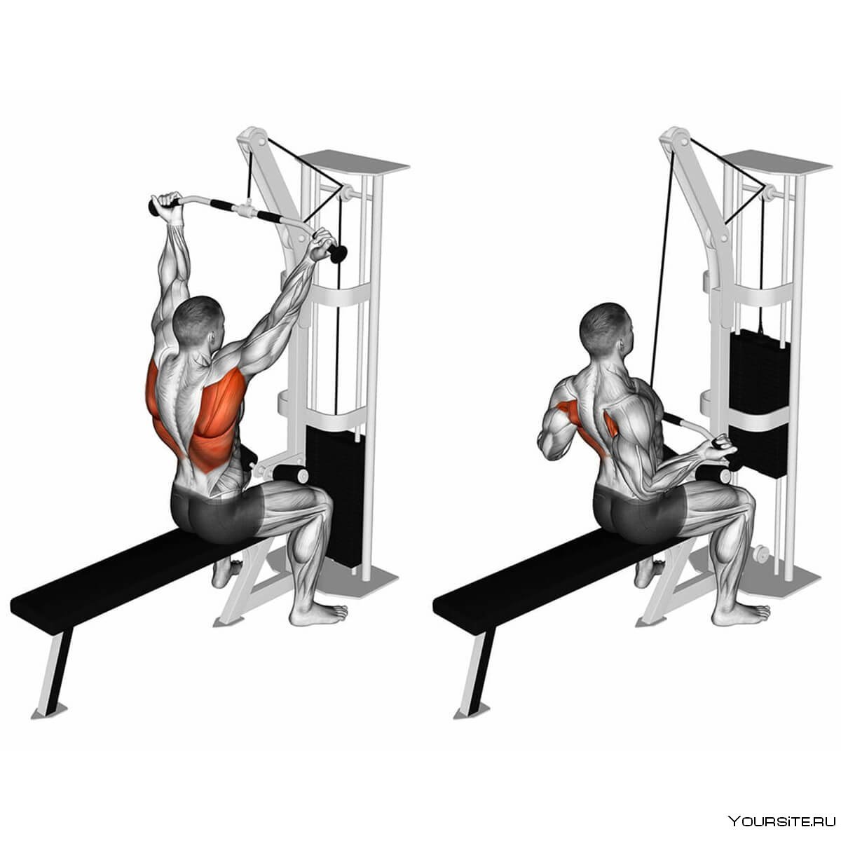 Тяга верхнего блока к груди обратным хватом