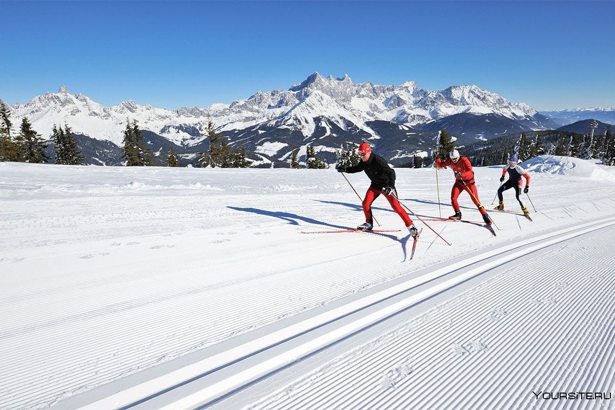 Беговые лыжи тренировки
