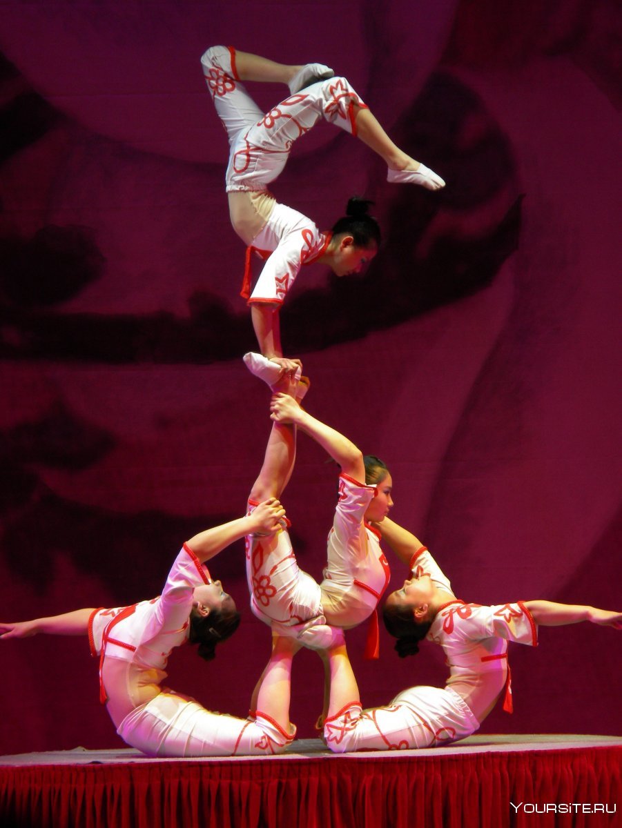 Эстрадно-цирковой коллектив "Невский Каскад"