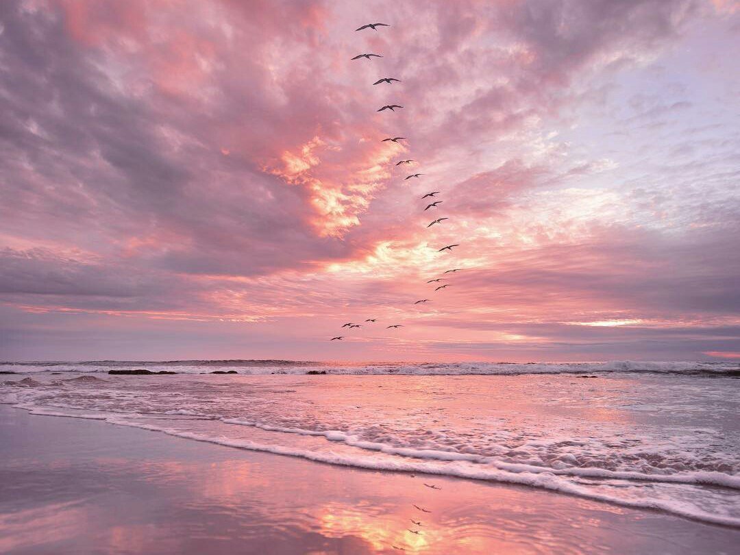 Море розовое небо