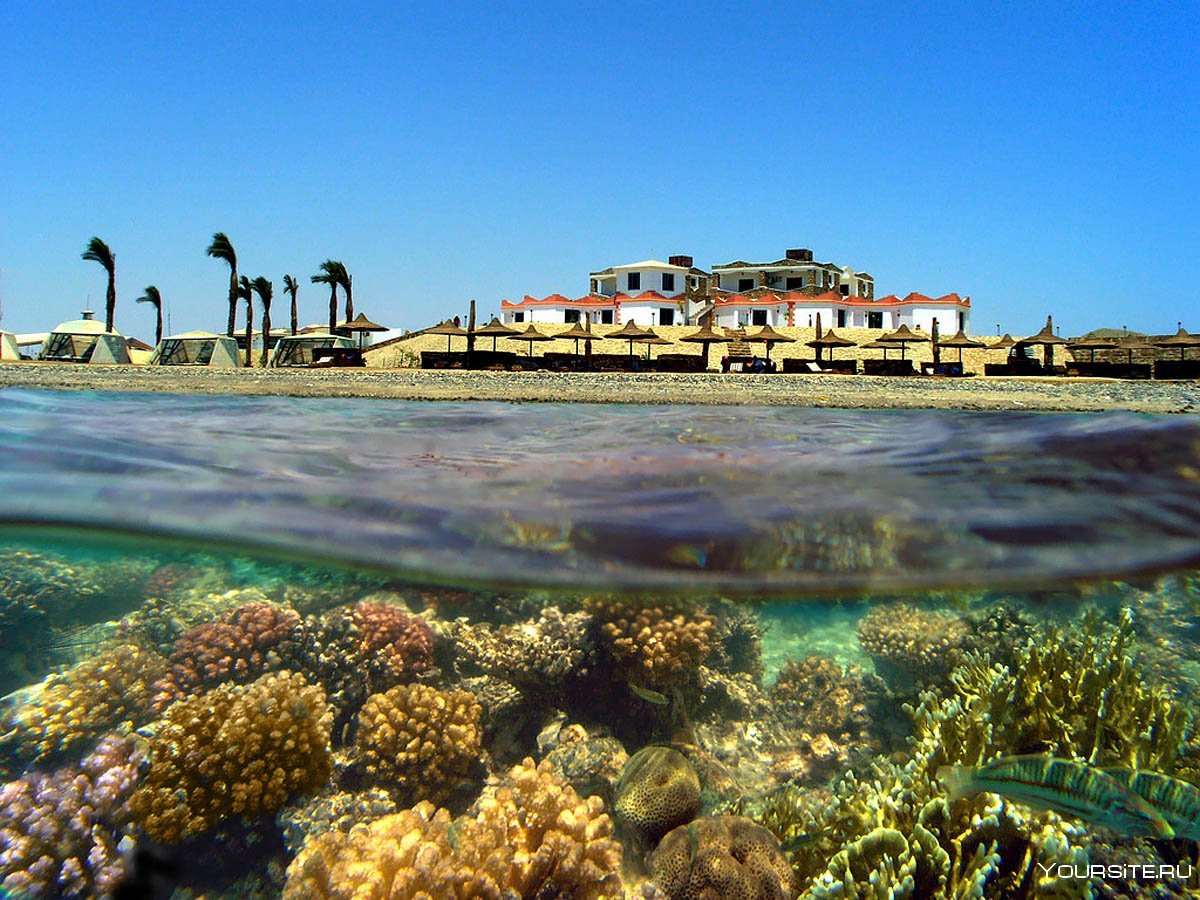 египет красное море хургада