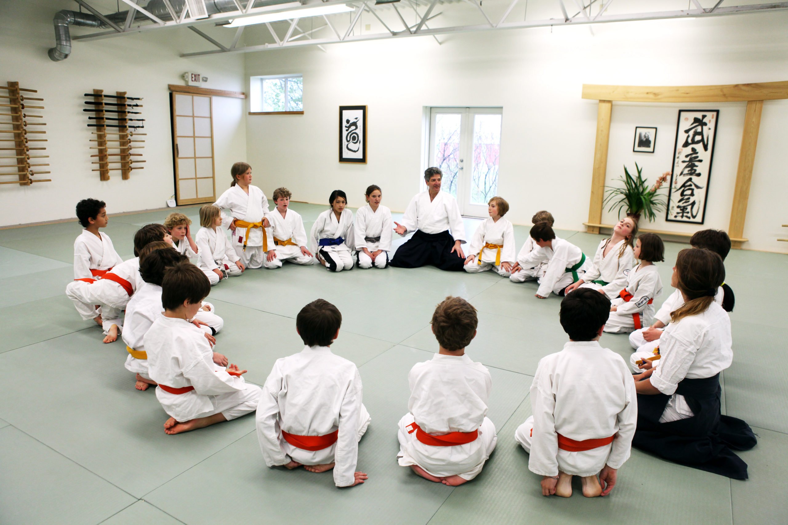 Частный урок каратэ. Боевые искусства Японии айкидо. Японские боевые искусства (айкидо, дзюдо, каратэ до, сумо). Что такое айкидо вид спорта. Айкидо для детей.