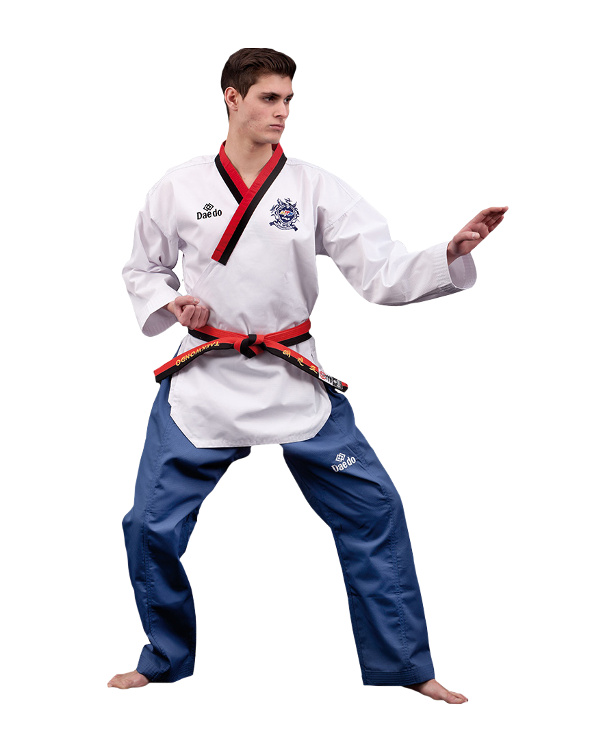 Dan Martial Arts добок