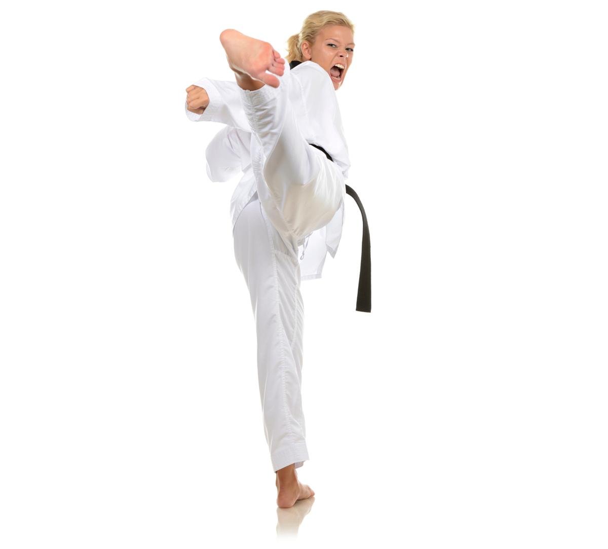 Taekwondo ITF вектор