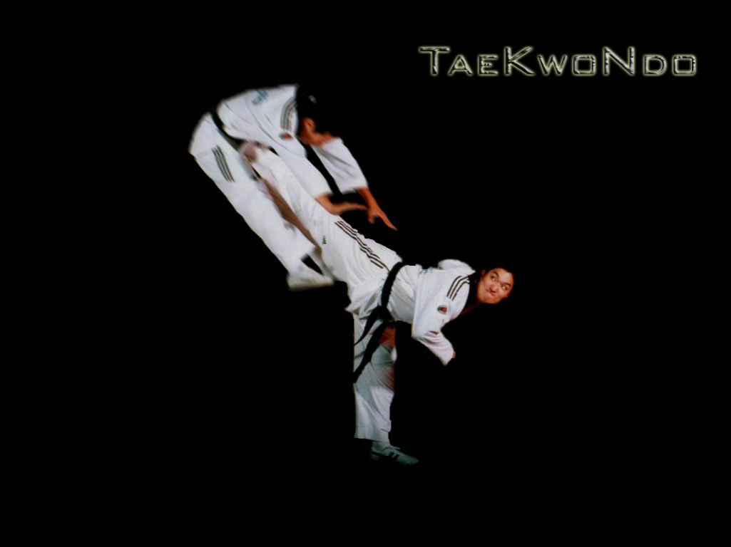 Taekwondo Панасенков Кирилл