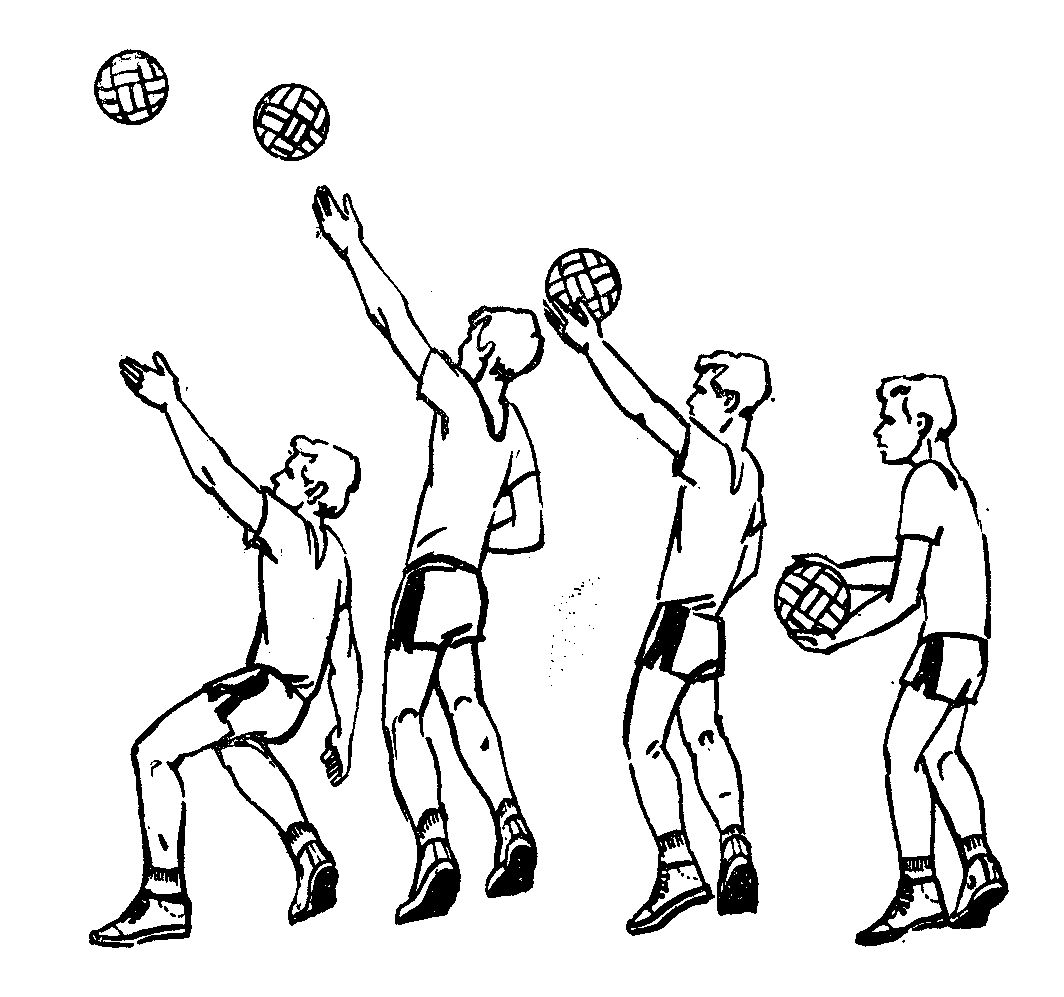 Техника подачи мяча снизу в волейболе